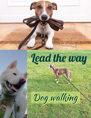 Dog walker