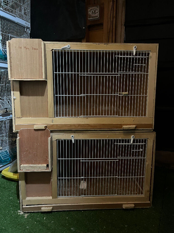 Breeding cages