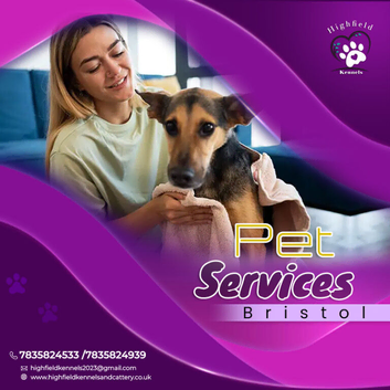 Comprehensive Pet Services Bristol | Care You Can Count On