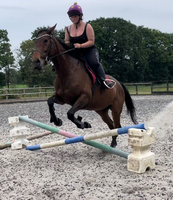 15.3 tb mare