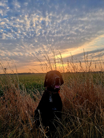 KC registered 5th Generation GSP