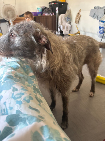 Sargent looking for new home