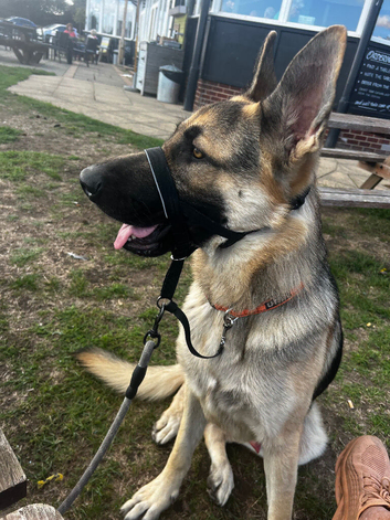 GSD