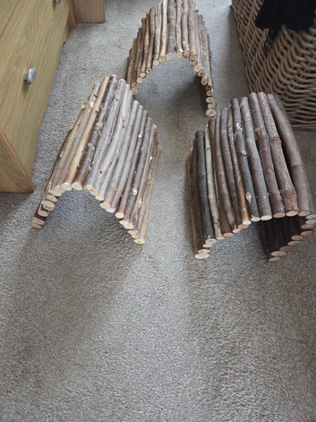 Guinee pig cages
