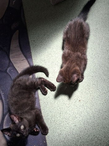 Two stunning boys.