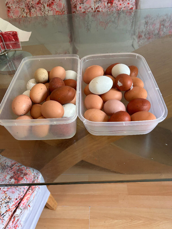 Chicken for sale