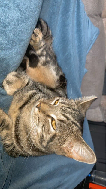 Needs a loving home.