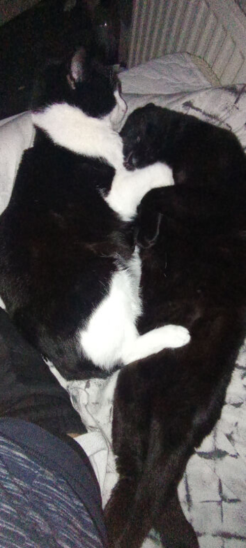 2 lovely n attention boys