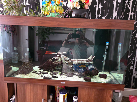 Tropical fish plus aquarium 350l