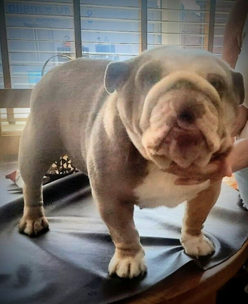 For sale