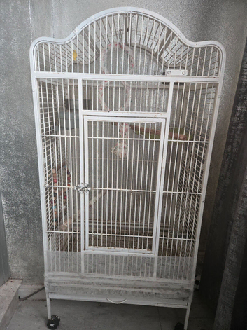 Large white bird cage