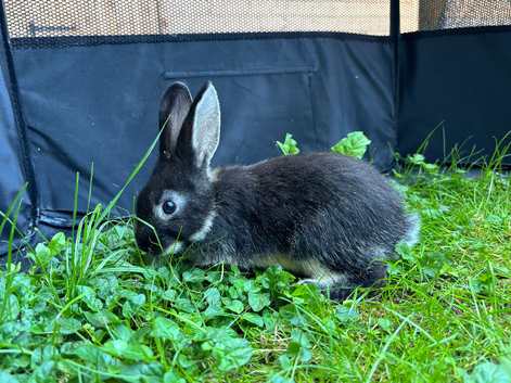 Beautiful baby girl