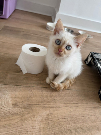 One little girl