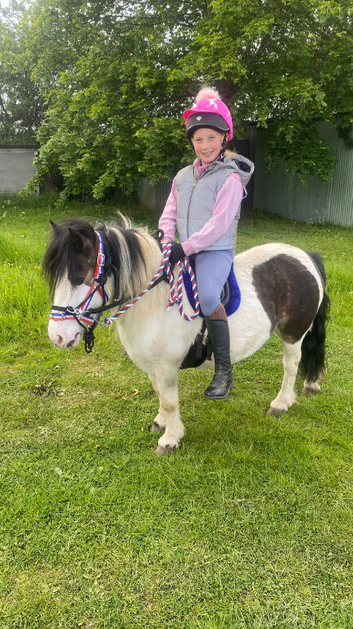 Super Safe Children&rsquo;s Pony For Sale