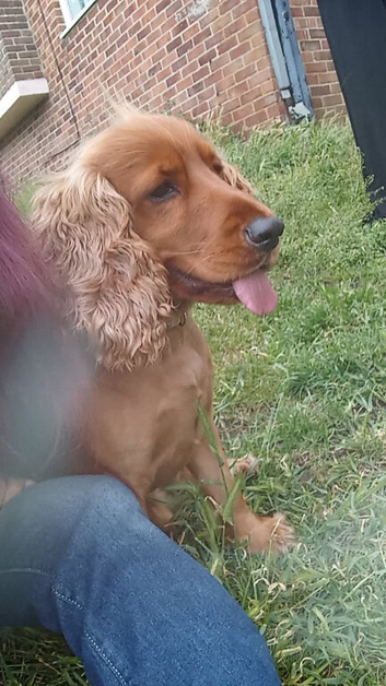 arlo