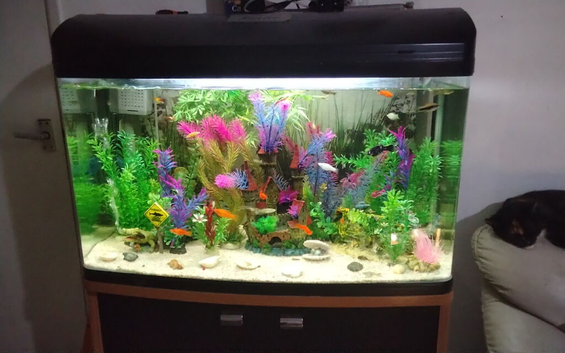 Closing down tank