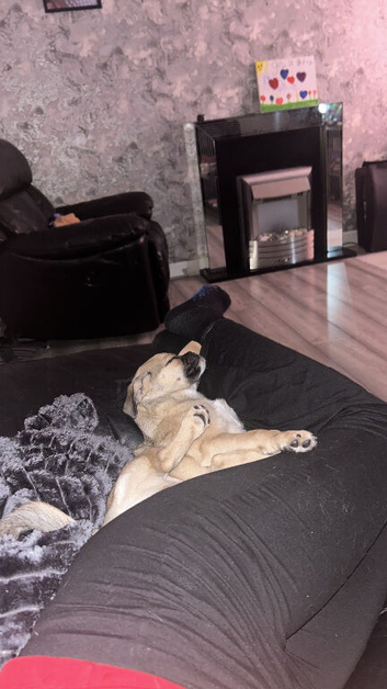 5 month old boy call rollo