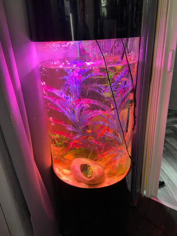 Cylinder fish tank