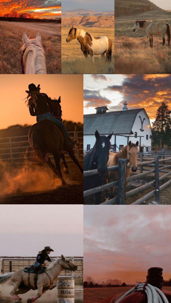 Looking for horse hire near south wales