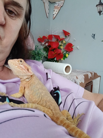 BREADER Dragon