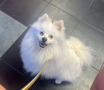 Gorgeous boy