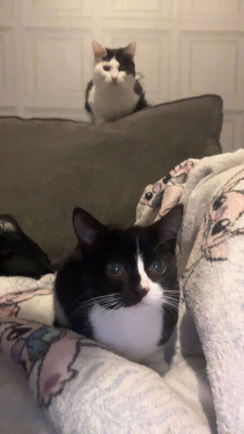 Beautiful boy and girl brother and sister