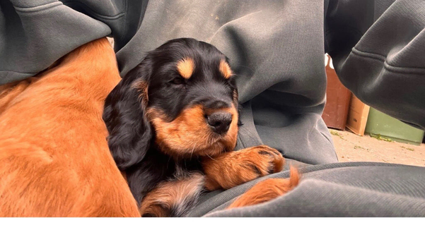 1 stunning boy left