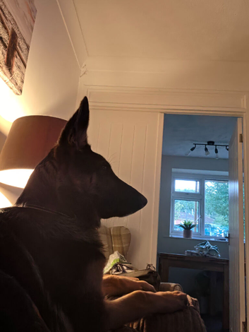 5 months old