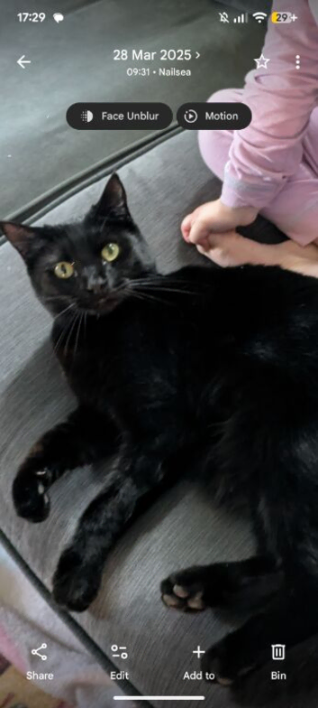 2 year old for rehoming