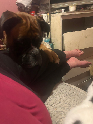 Puppies for sale