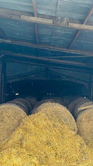 Round bales for sale
