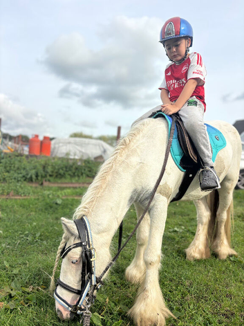 Super safe family friend / show pony