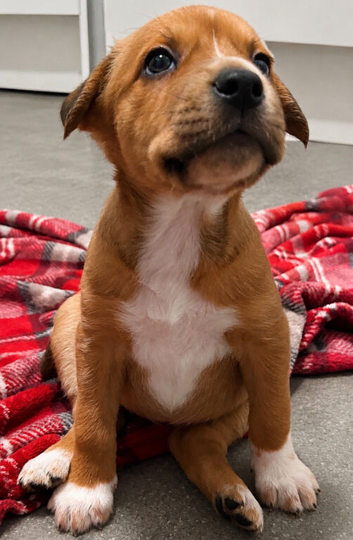 One very special little girl remaining &pound;500