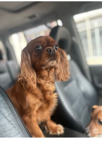 One stunning girl left