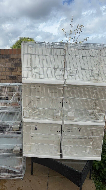 4 breeding cages for sale