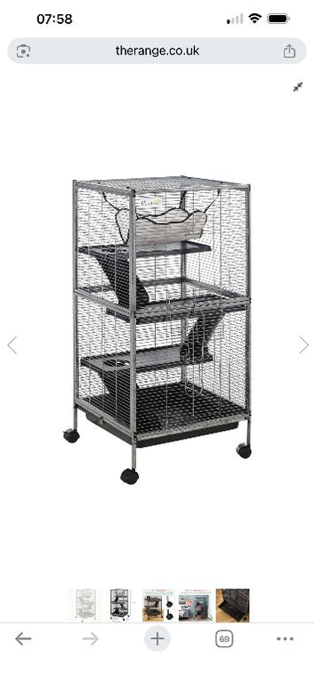 2 male rats with set up