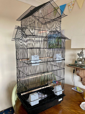 Beautiful brand new cage ideal for budgies
