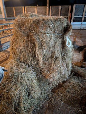 Big bale silage