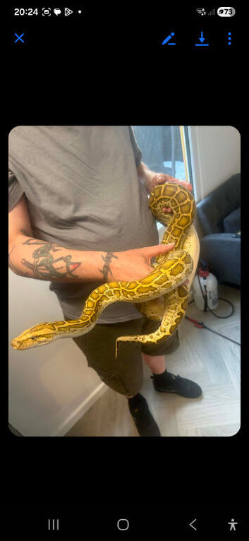 Male hypo,female normal