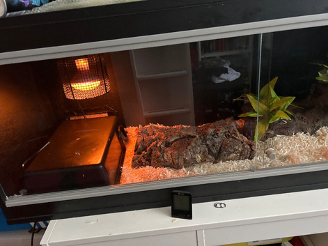 In Looking to buy  a 6 foot vivarium