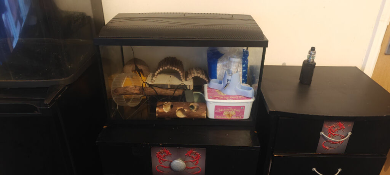 Habitat for small rodent or fish