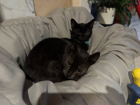 1 boy and 1 girl Russian black