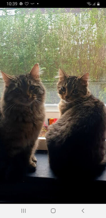 2 gorgeous loving boys