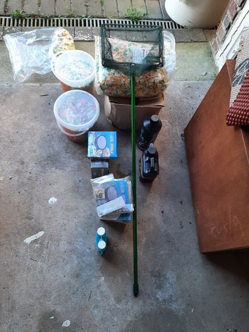 Coldwater gold fish for sale with loads of assesories full kit nothing to buy