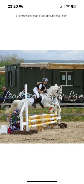 Jumping pony