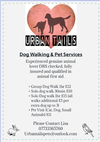 Dog walking and pet visits