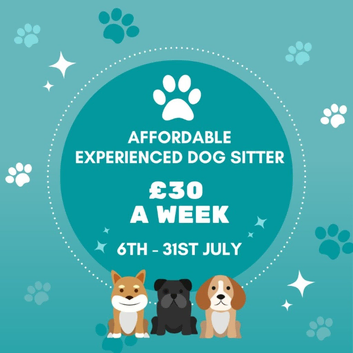Affordable Dog Sitting Services