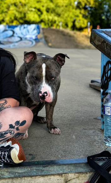 2 year old Tyson