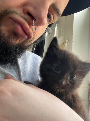 2 healthy happy girl kittens ready for their forever homes