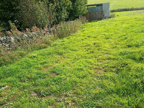 2.5 acres of grass with shelter, now available